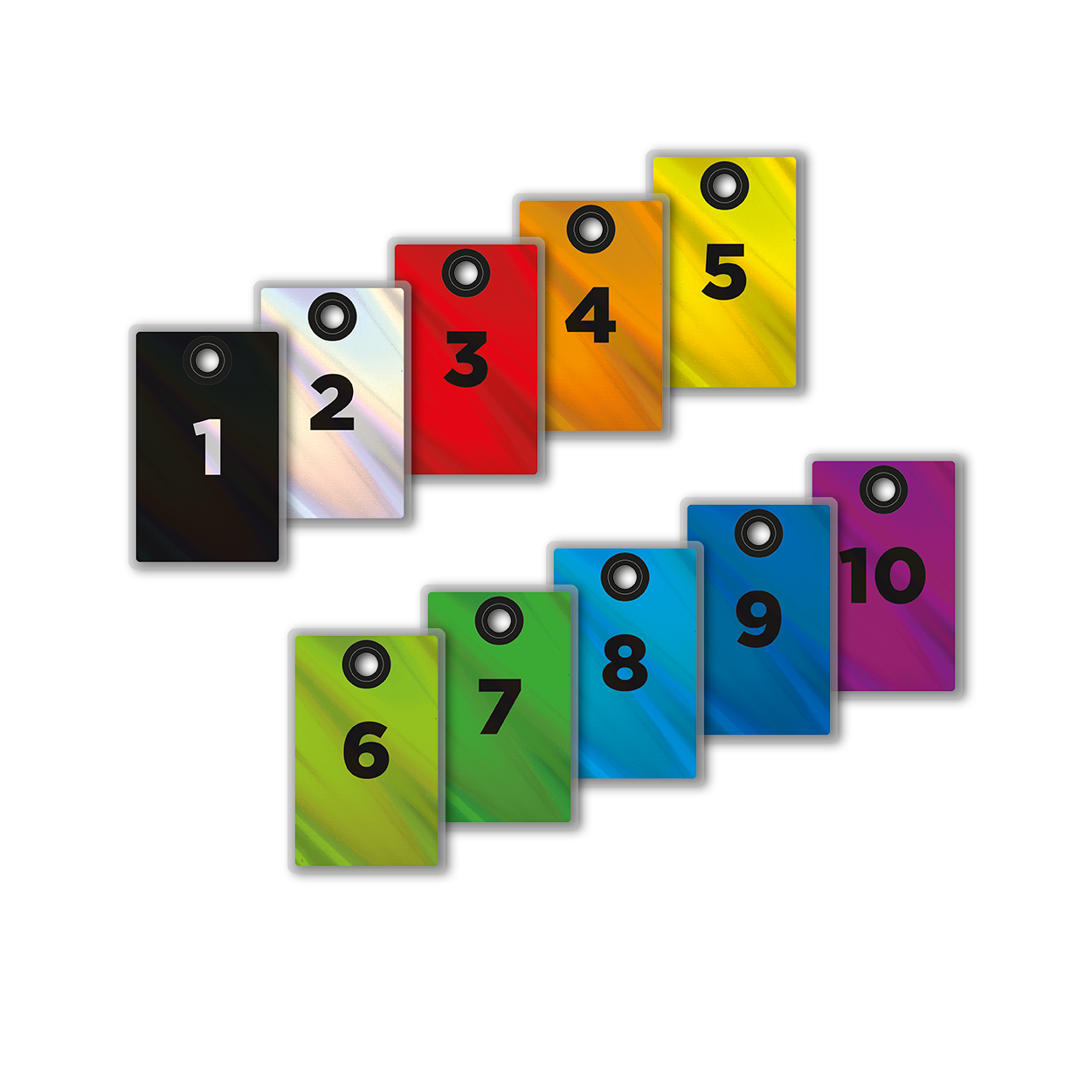 Luggage Tags Set für Backstagepässe | Holopasses