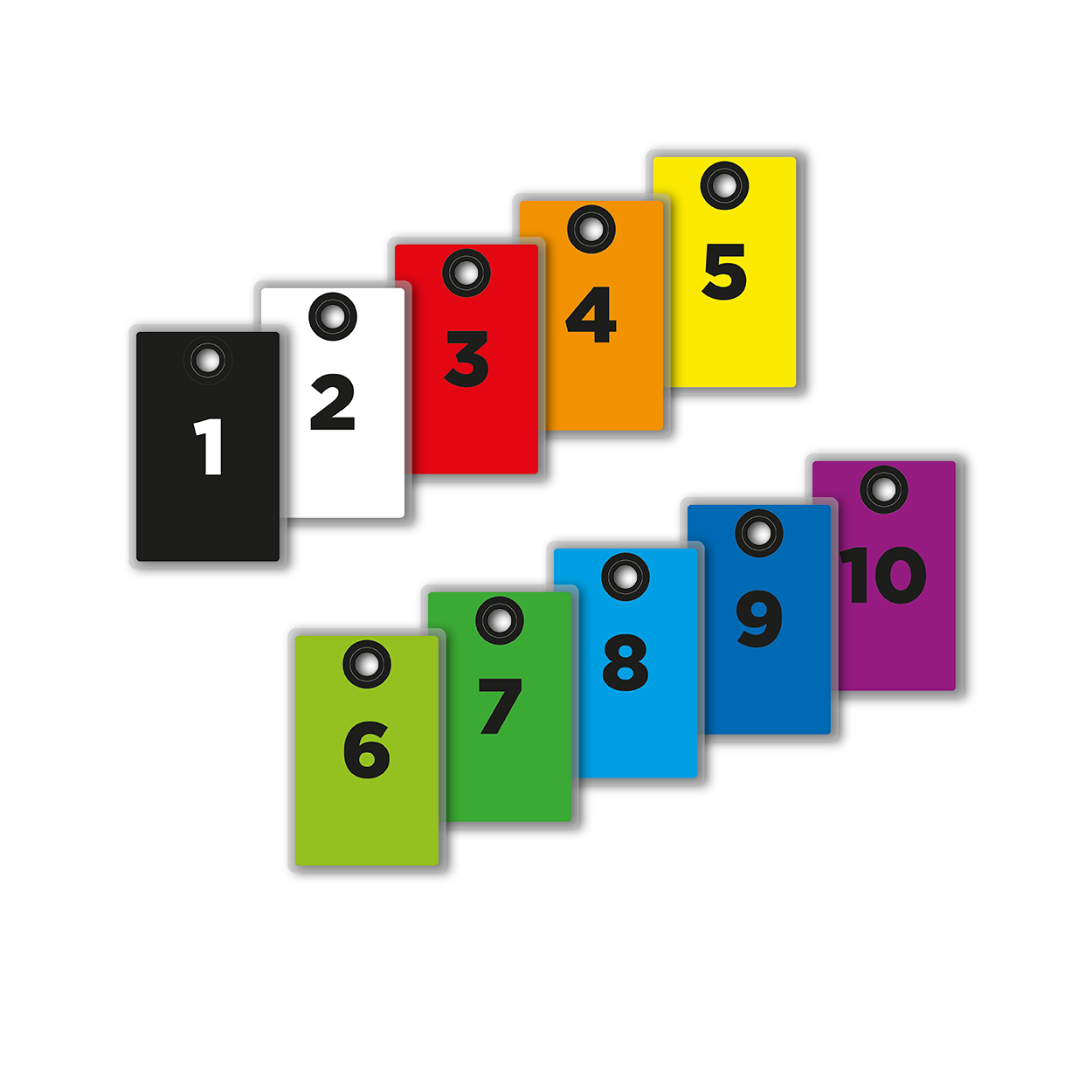 Luggage Tags für Tourausweise 10er Set | Holopasses