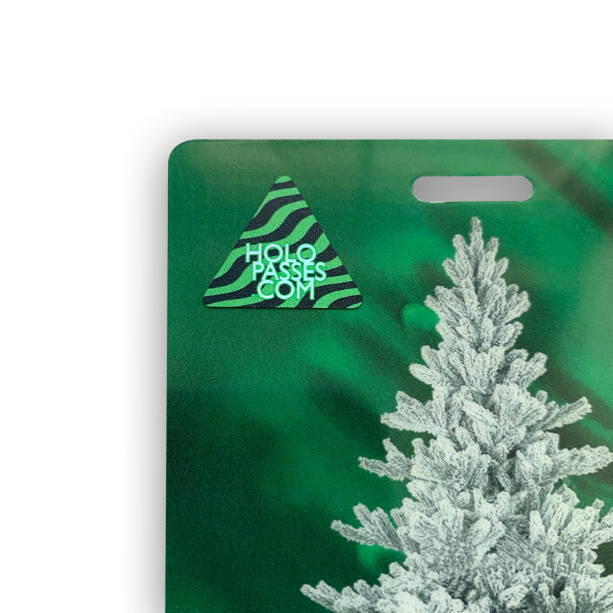 Holopasses Balken Hologramm Sticker